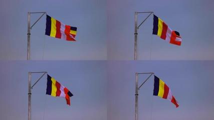 藏族旗藏族旗AE模板下载_光厂(VJ师网)